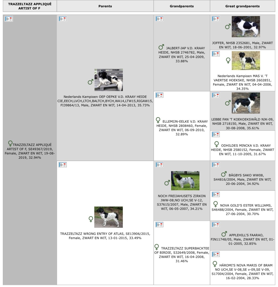 Stamtavla-pedigree-stabijhoun-Aska