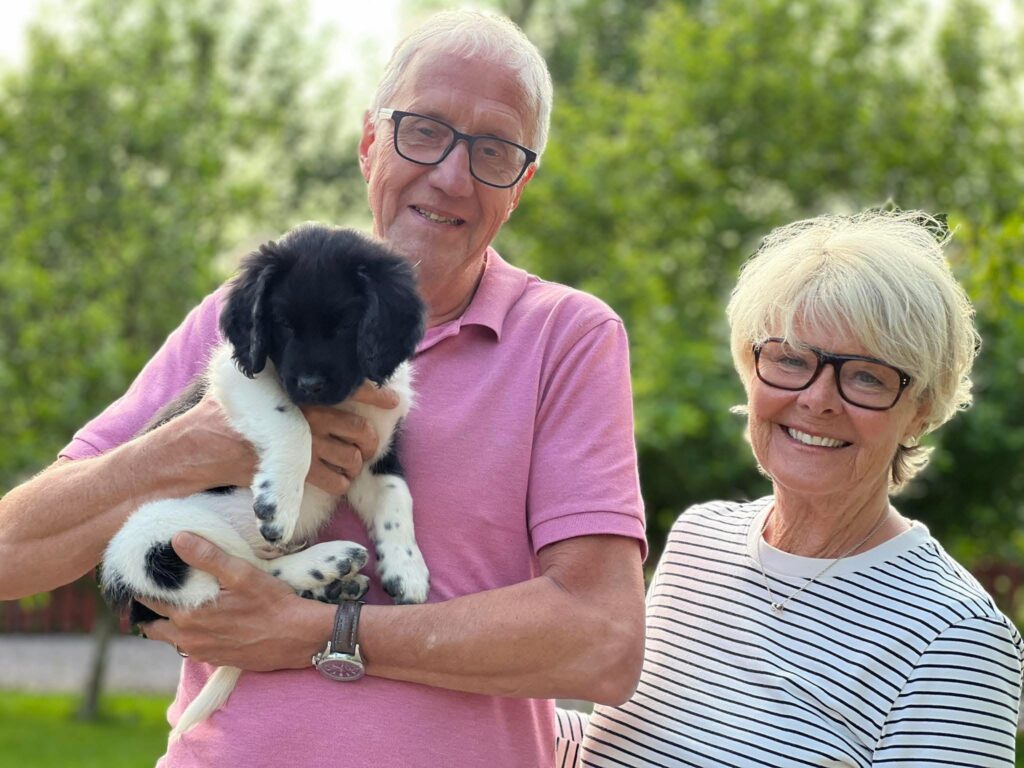 Skidorter-Våfflan Kennel Trazzeltazz stabijhounvalp