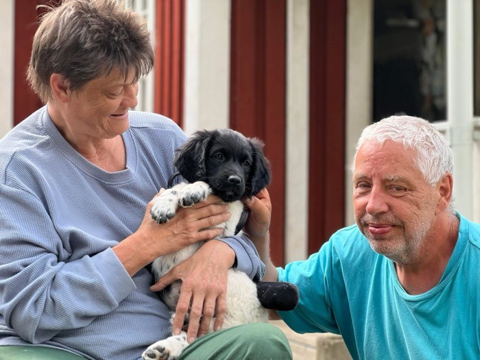 Stabijhounvalp kennel Trazzeltazz skidorter