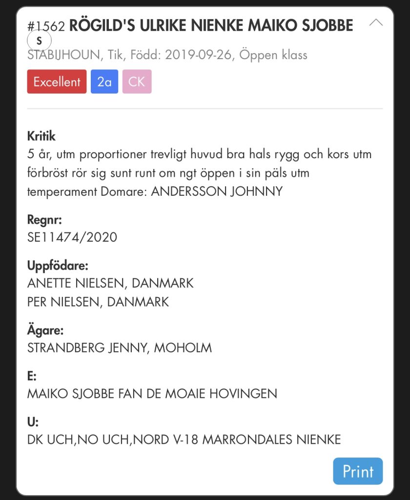 Rögild's Ulrike Nienke Maiko Sjobbe