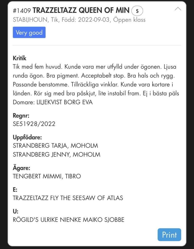 Trazzeltazz Queen of Min-Leijah-Tvååker