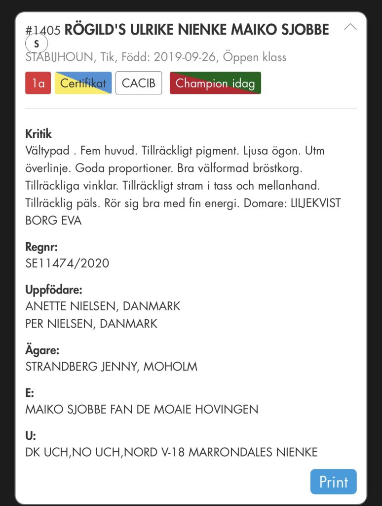 Rögild's Ulrike Nienke Maiko Sjobbe-champion-Tvååker